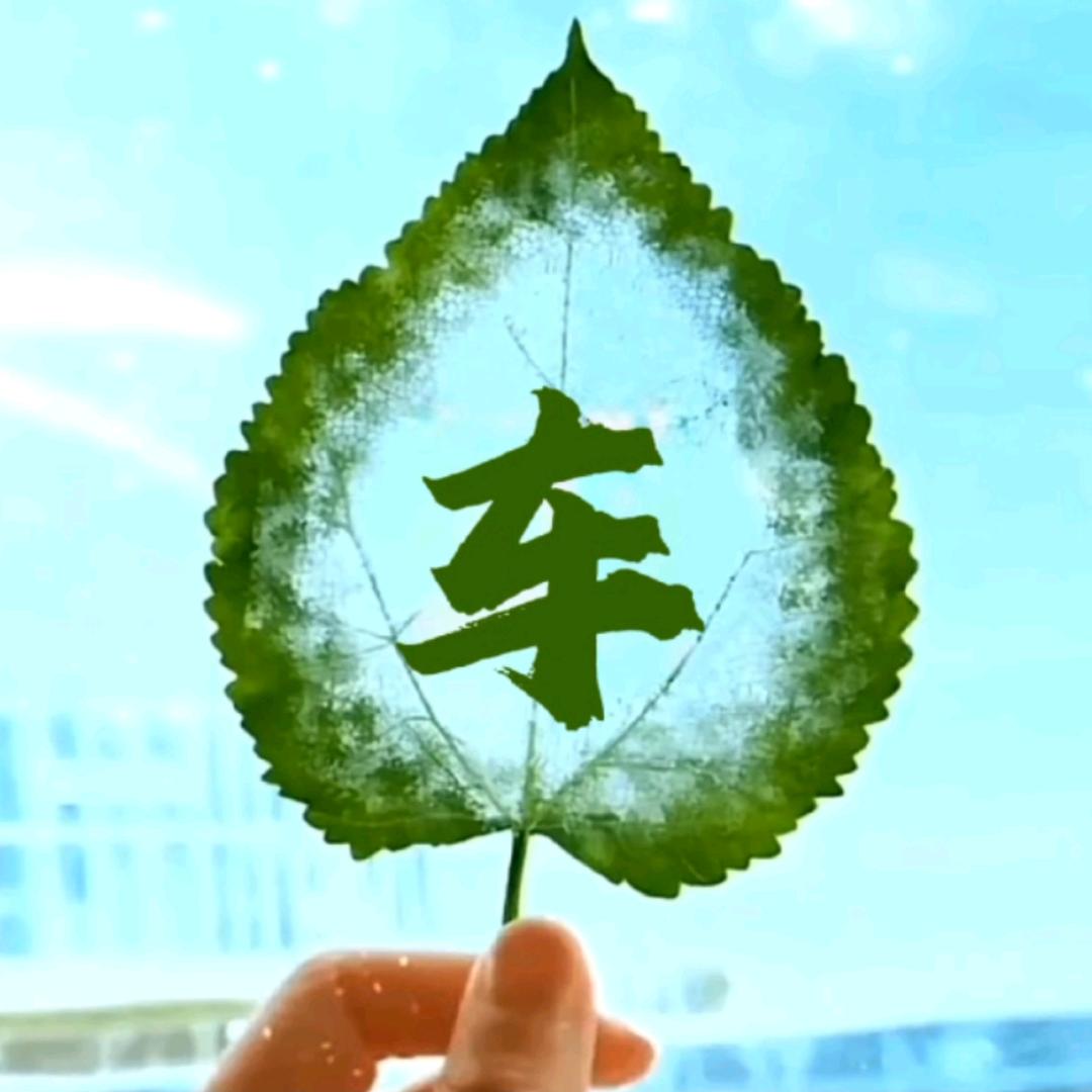 武平车车红娘