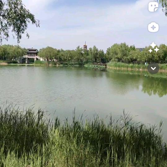 乐在其中