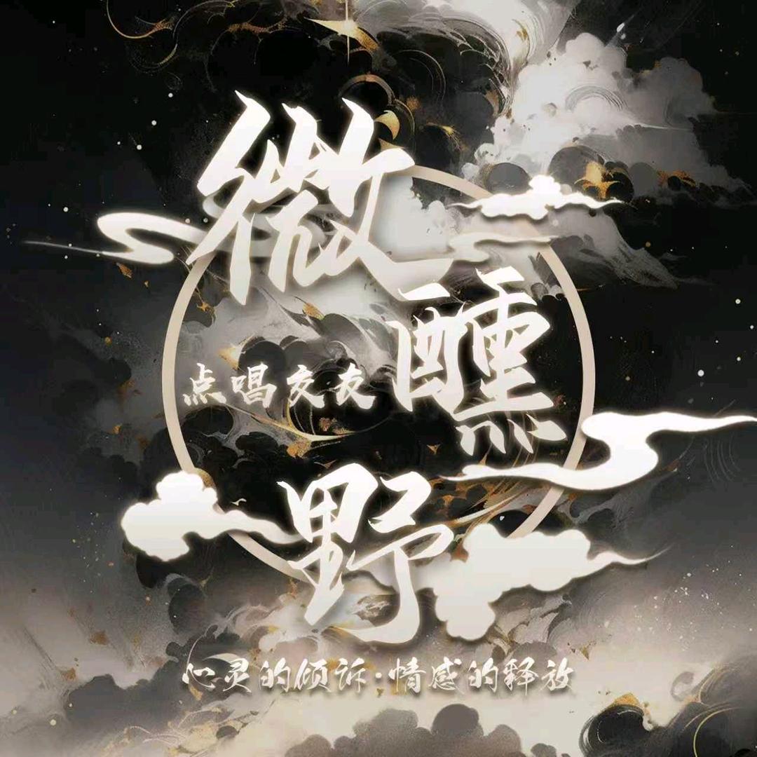 𝓦𝓧.微醺野💫专属唱聊交友局