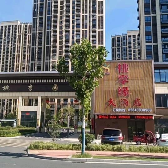 三十铺桃李缘大酒店