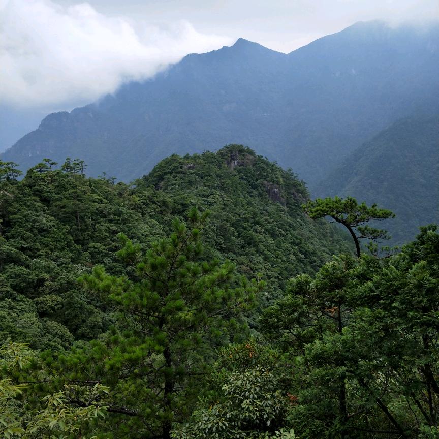 骑着蜗牛追火箭
