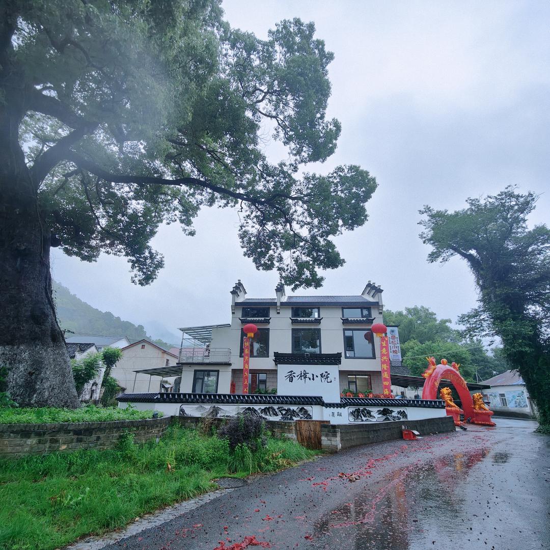 香樟小院民宿