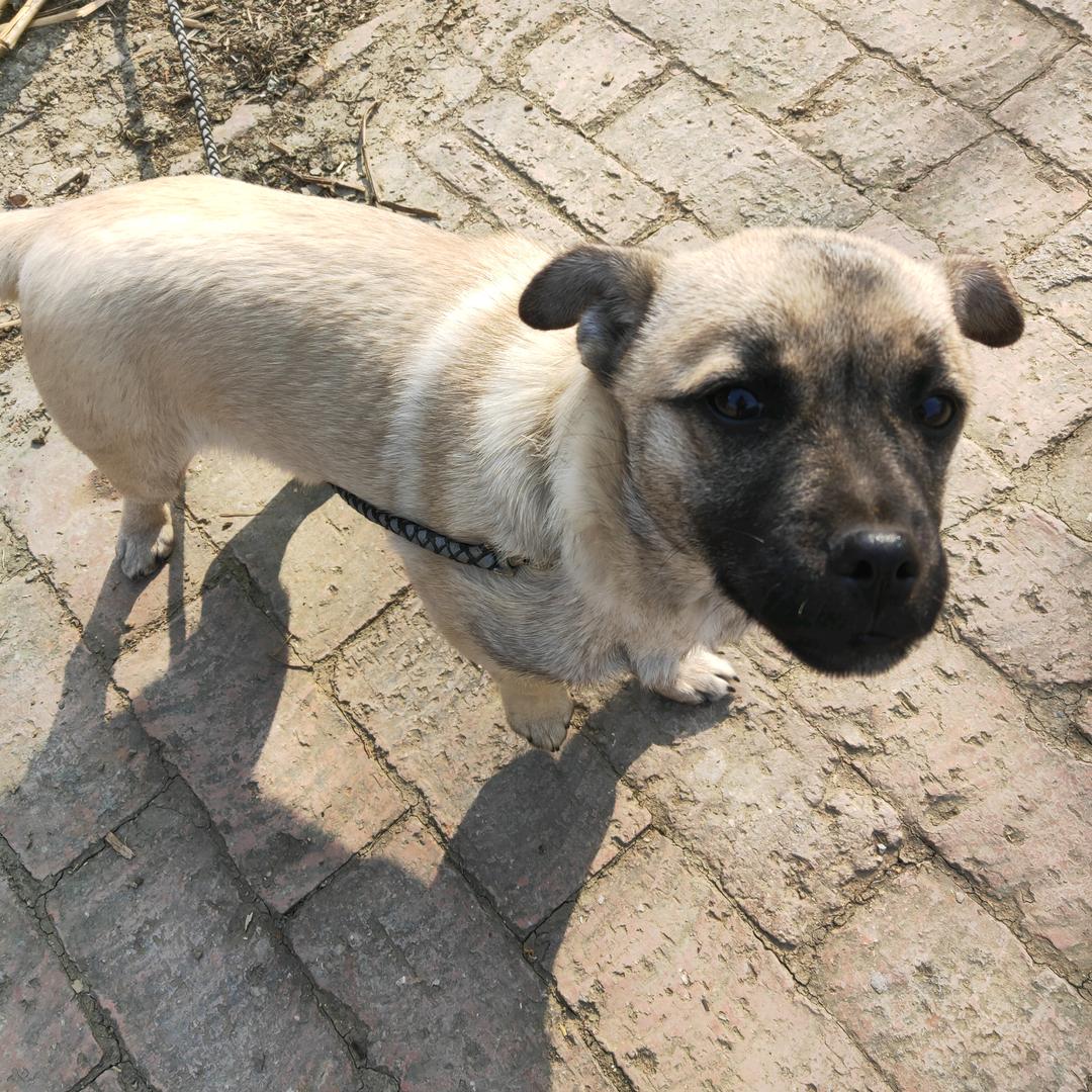 范家老头的农村生活