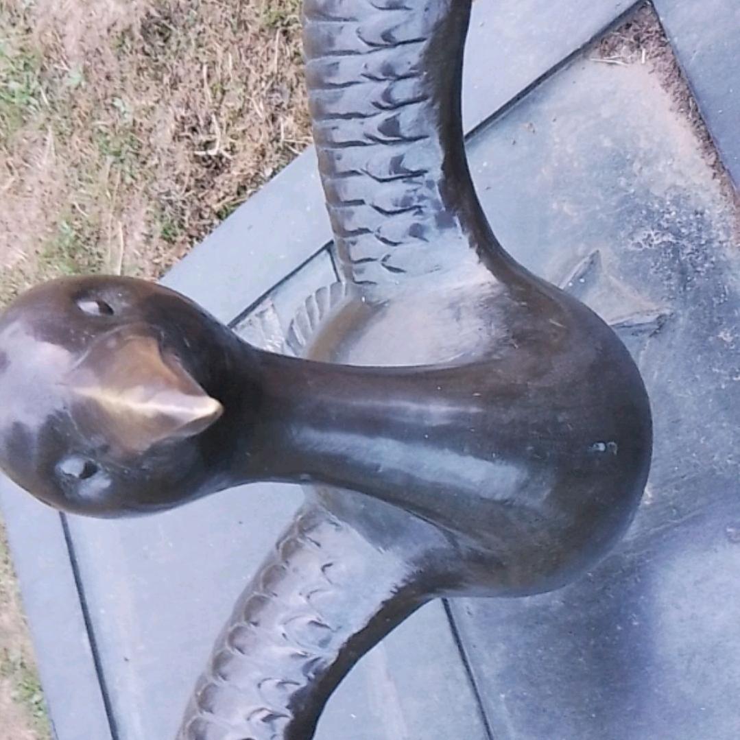 抻敨%
