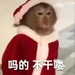 两个窝瓜打僵尸