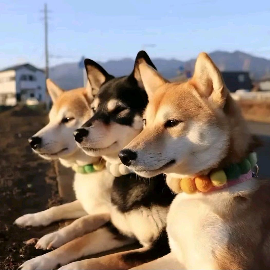 遗憾与生俱来