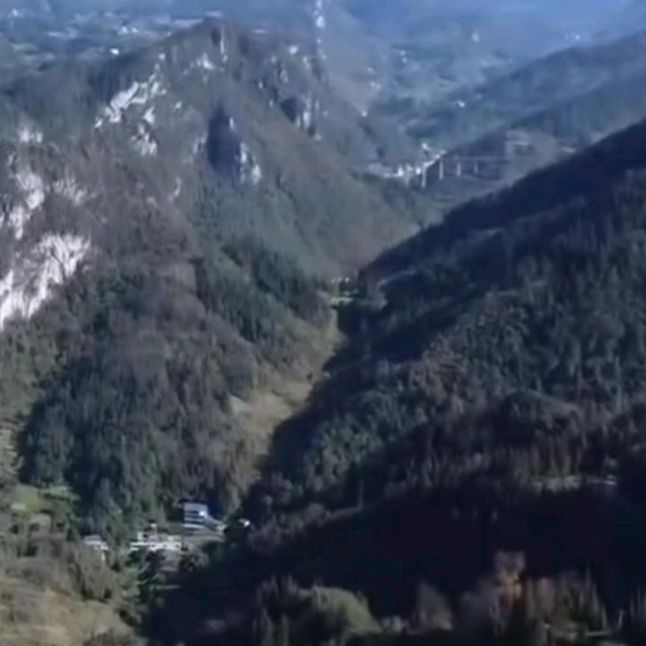🍀空心菜🍀