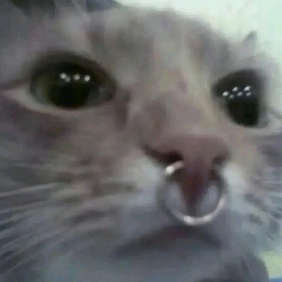 三个孩子都不是你的