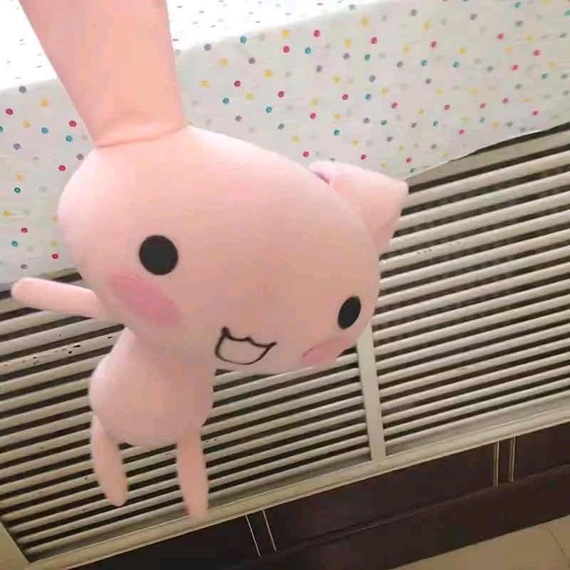 你比小猫可爱