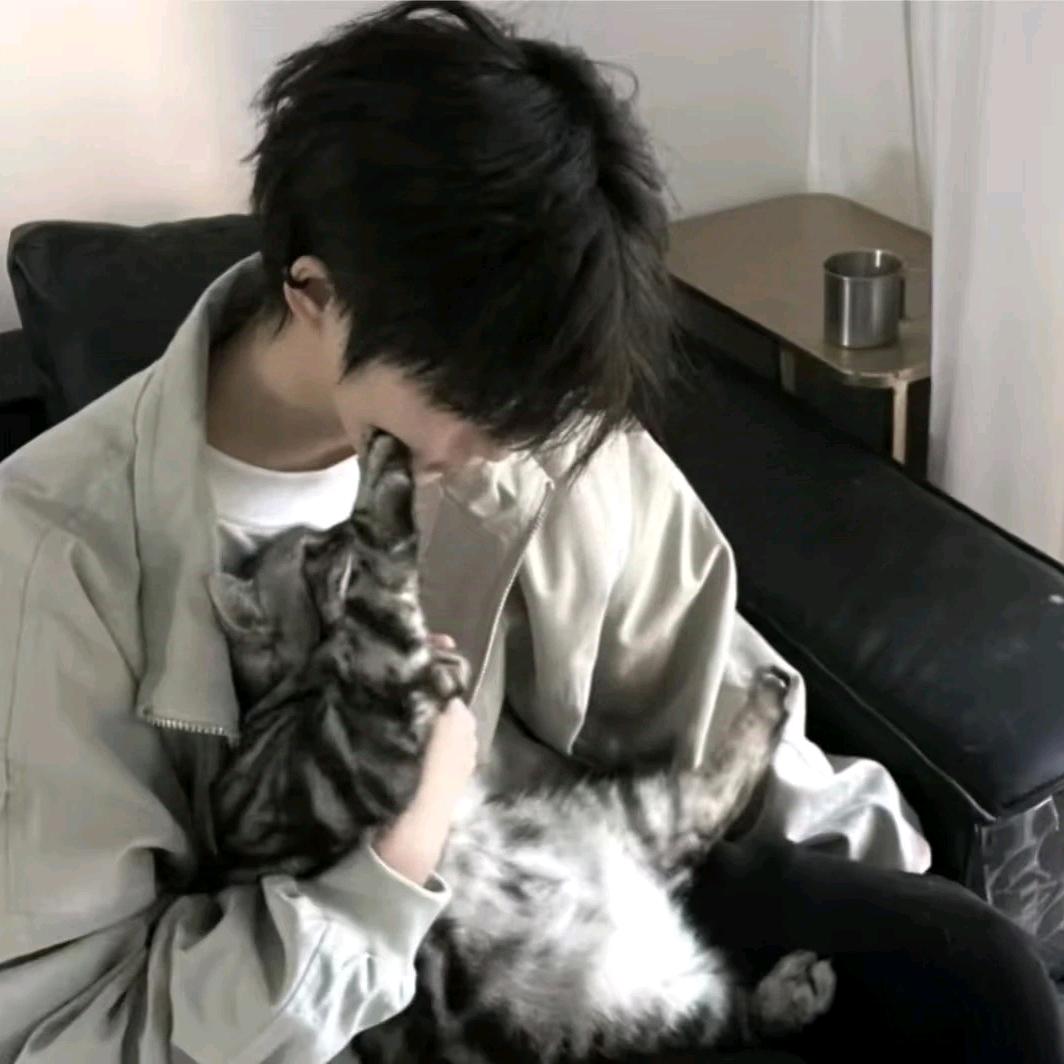 小巷的猫