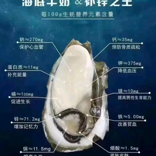 生蚝哥1968