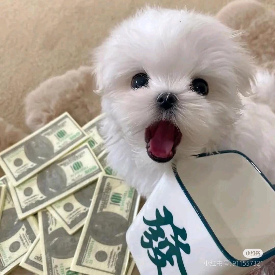 芜孑。