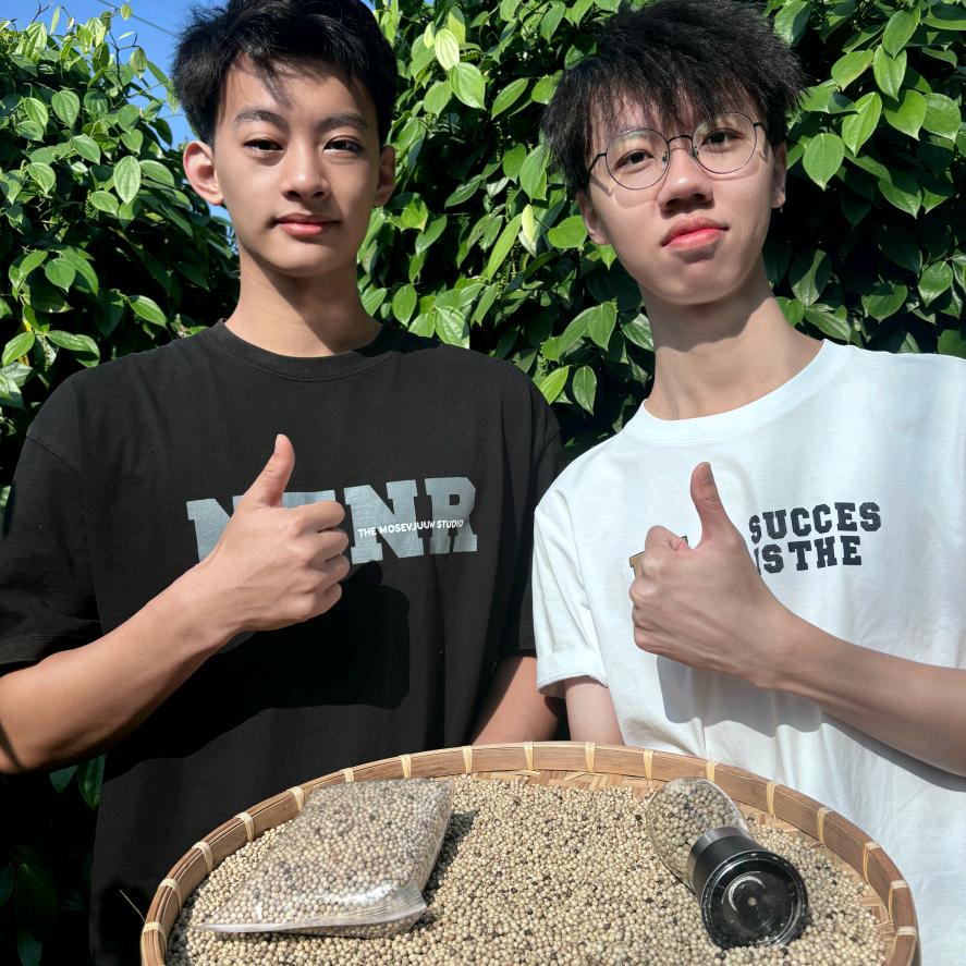 海南胡椒（大学生版）