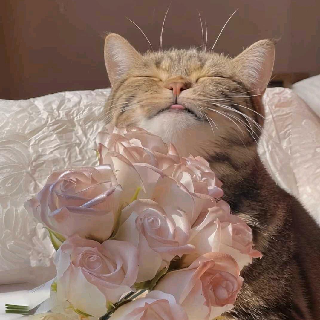 冰姐的小确幸🤗🤗🥰