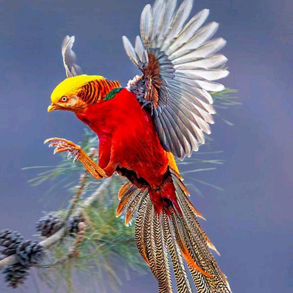 天睛没雨爱戏曲