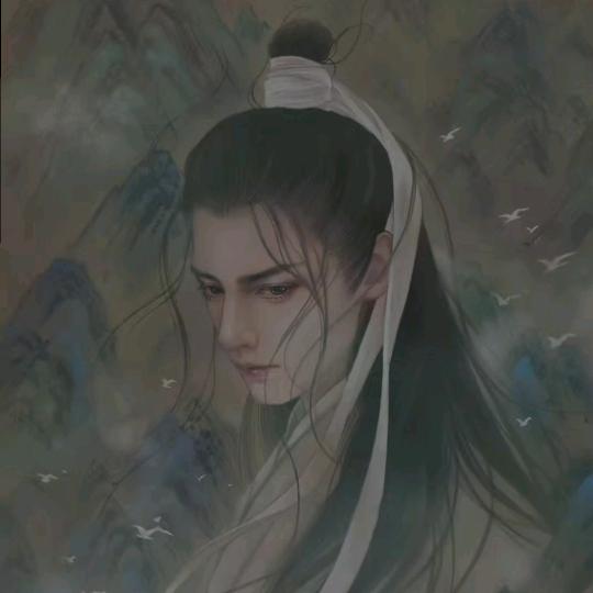 鸽鸽头像