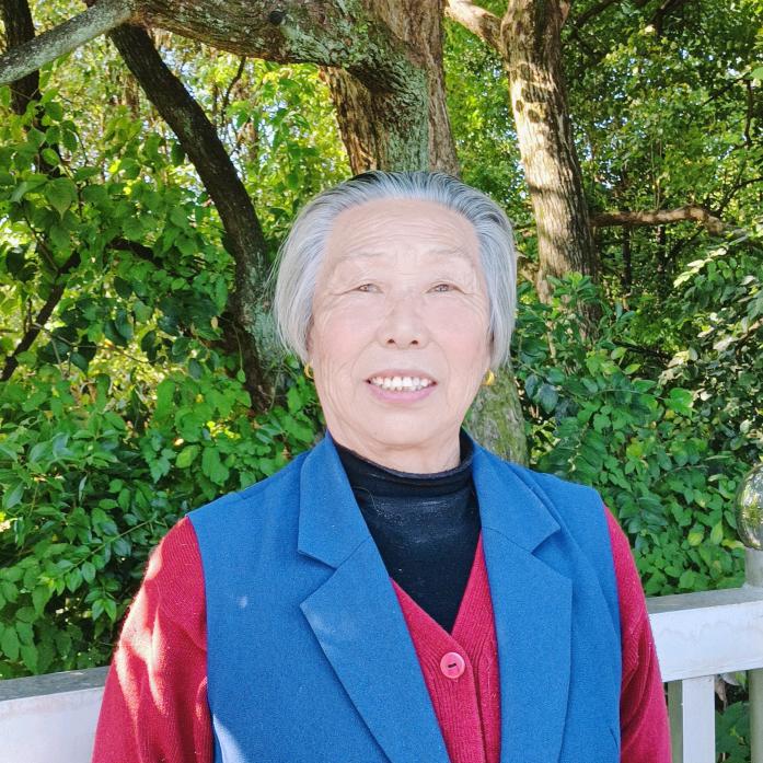 树根