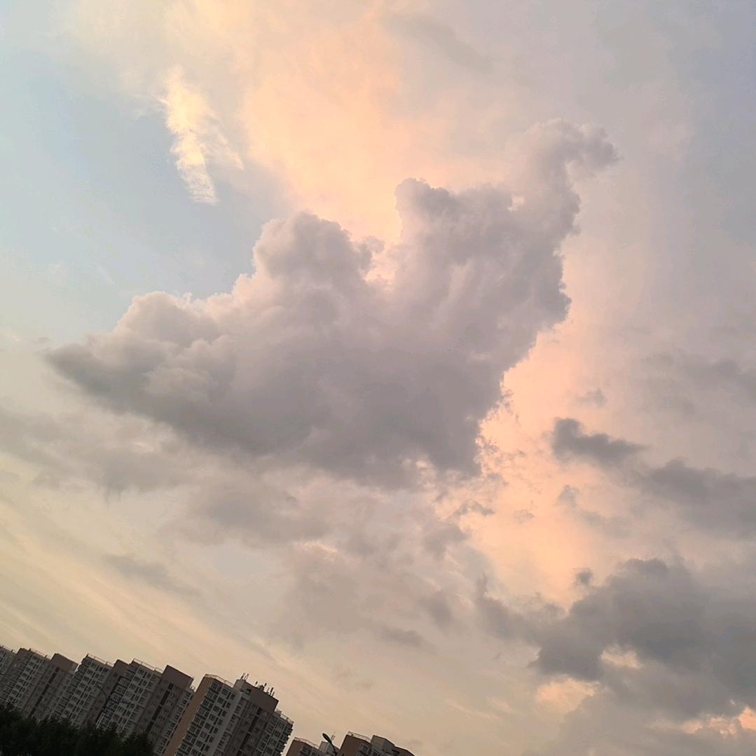 阿马🐴