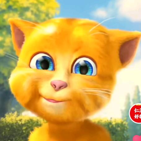 益智早教猫猫