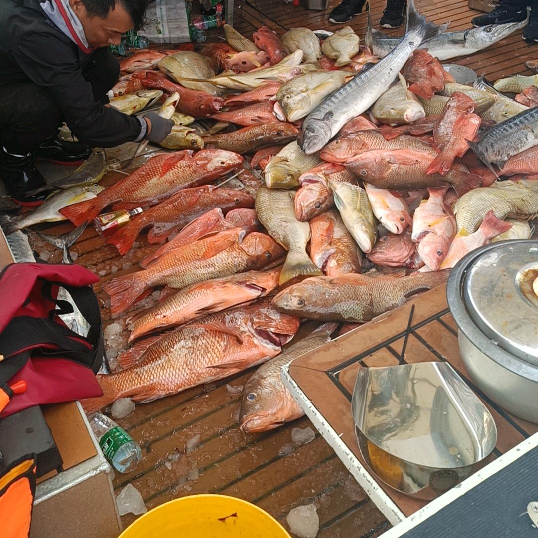 羊了个羊好了吗