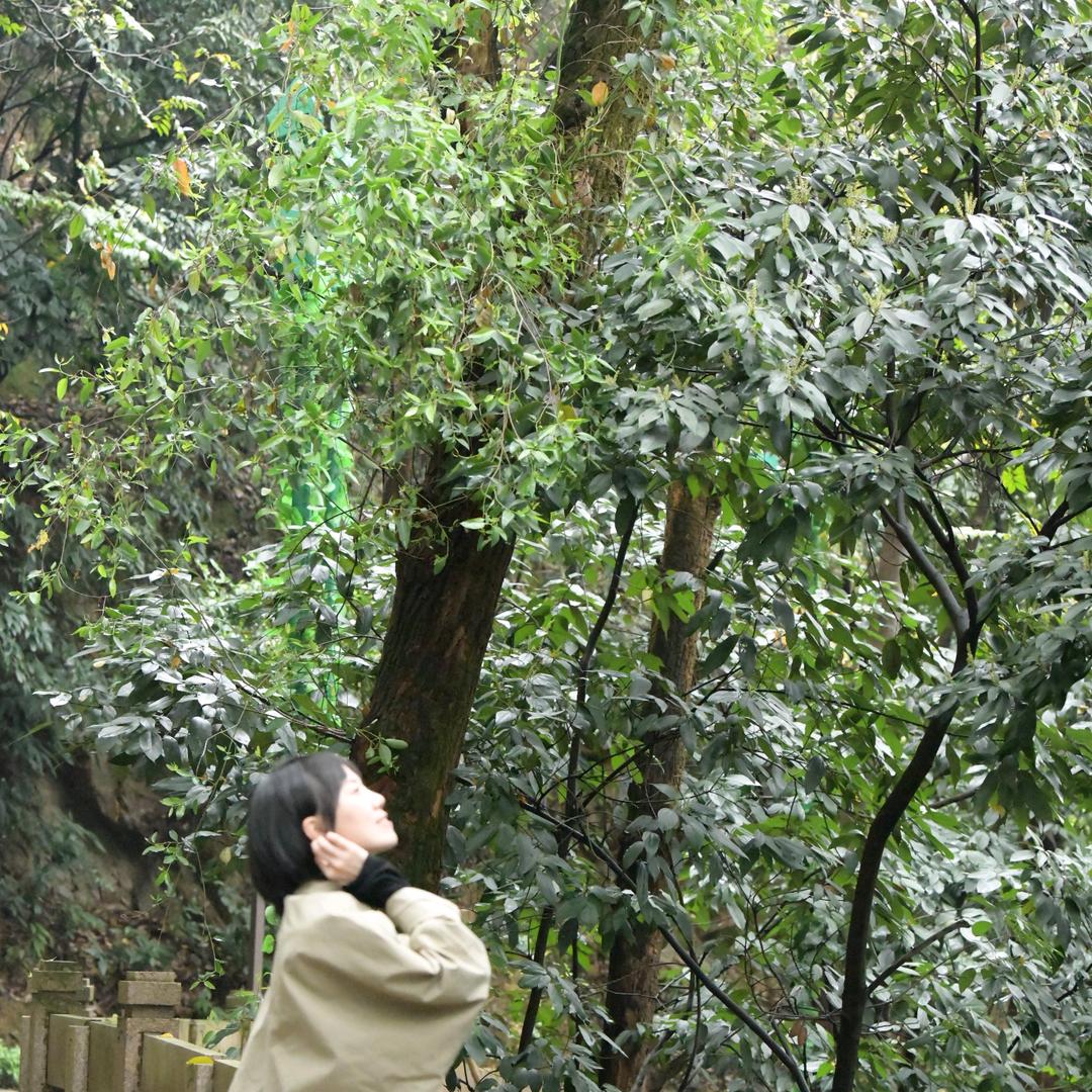 厉厉