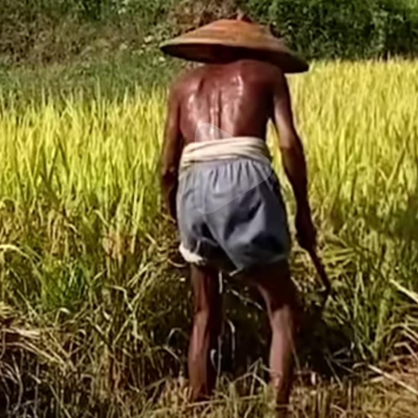 穷死不打亲戚工，饿死不耕丈人田