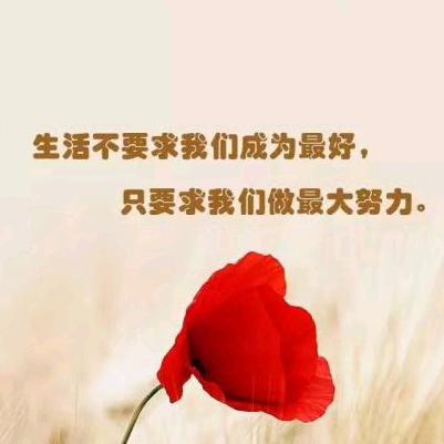 木棉花