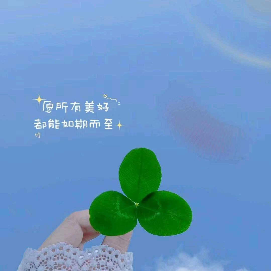 用户9120868452075赵晓霞