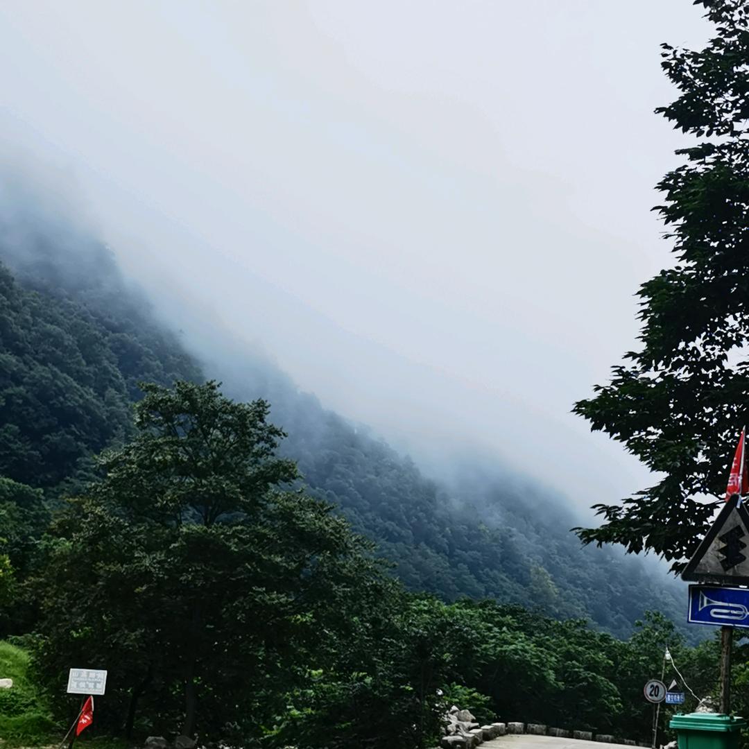 大周周