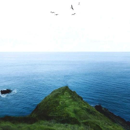 河南中企电子商务有限公司