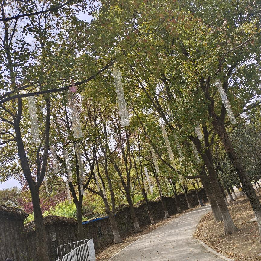 心诚则灵 ♥♥