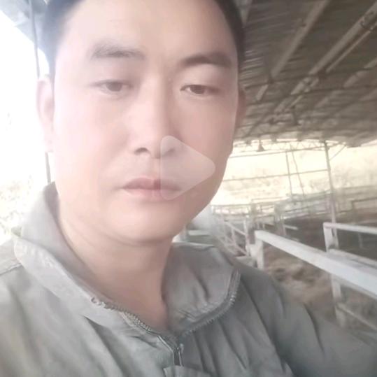 用户专业焊接钢棚和活动板房