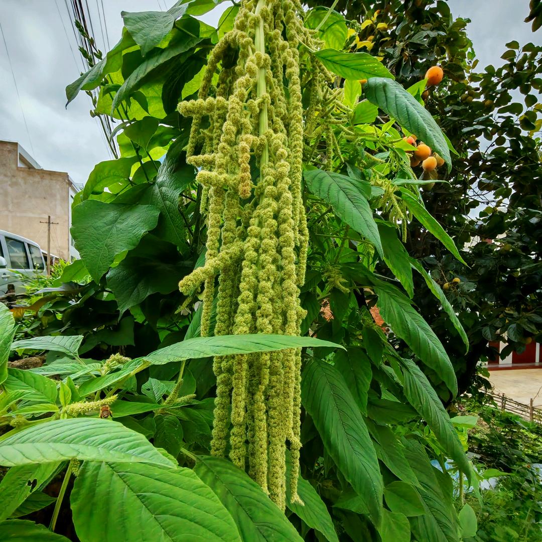 🌈山寂灯昏🌻🌞🌸