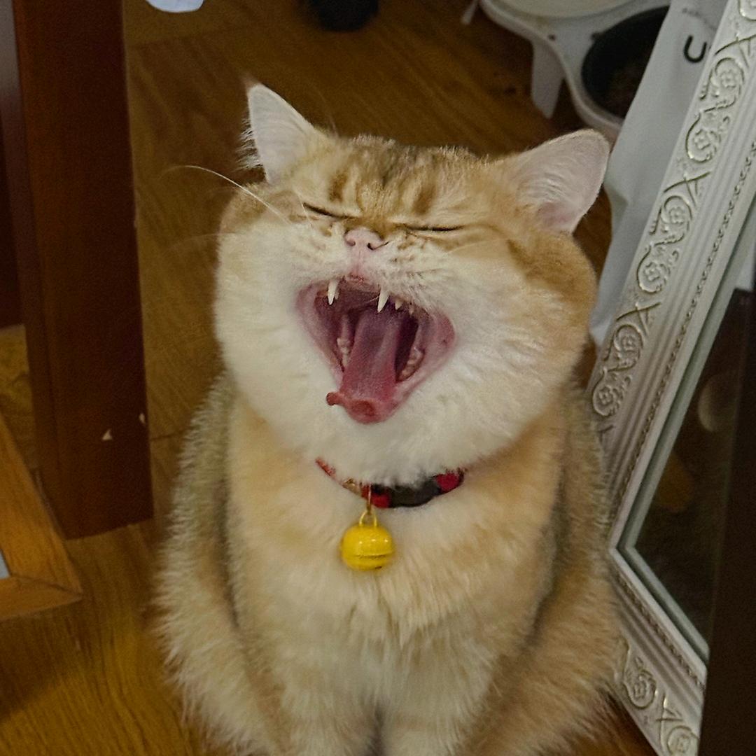 凌翰