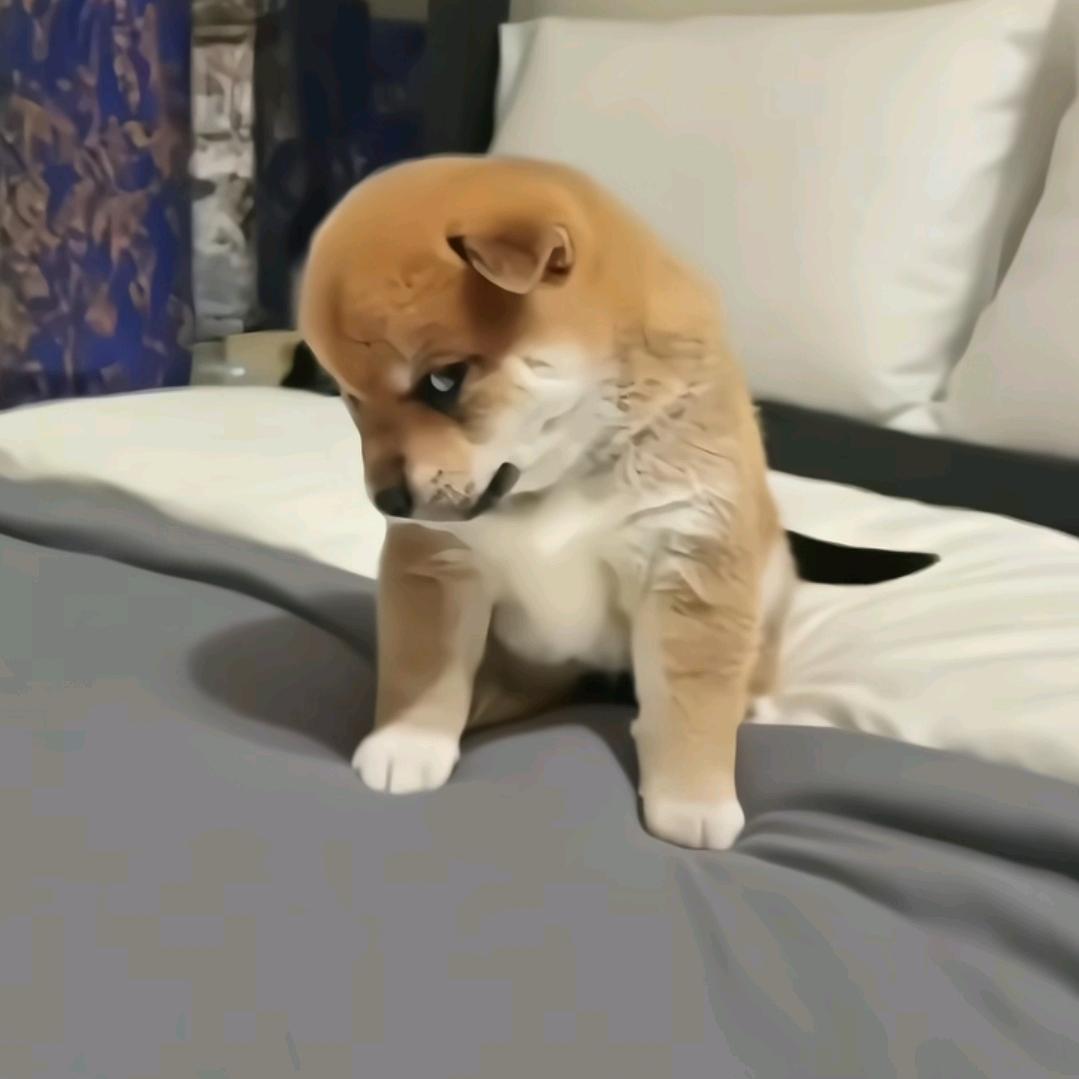 ꧔ꦿ࿐้黑哥໑ຼ₀₂5💕
