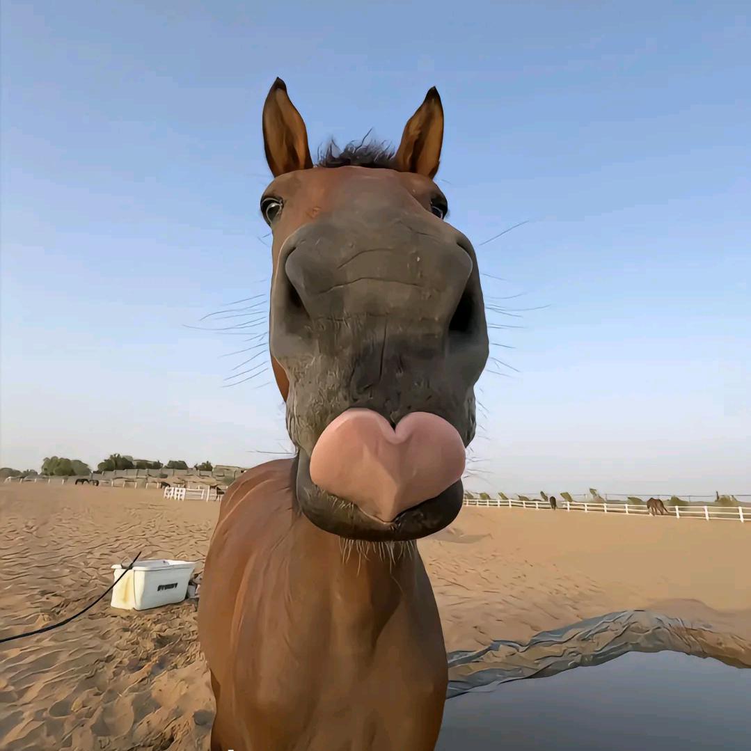 想你又怕见到你