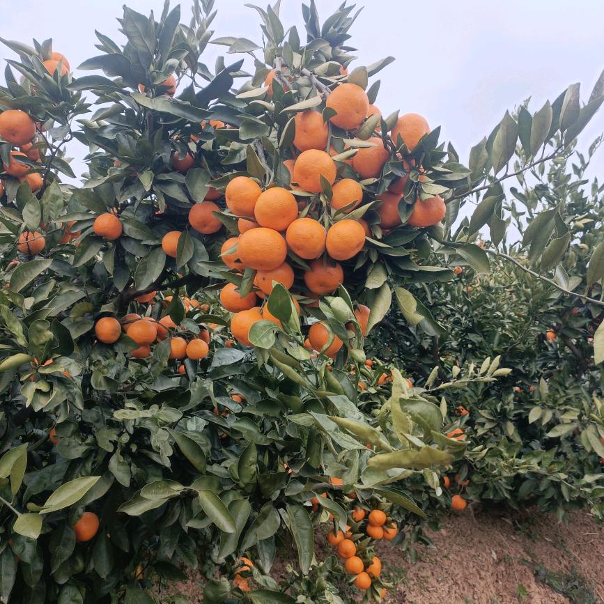 过好今天，忘记昨天