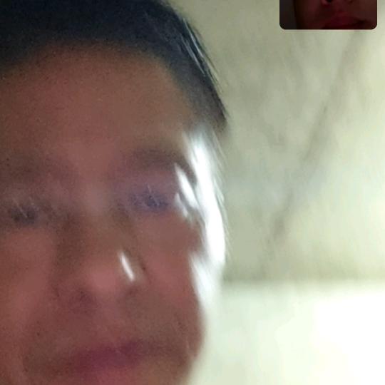 后山专业养殖土山羊