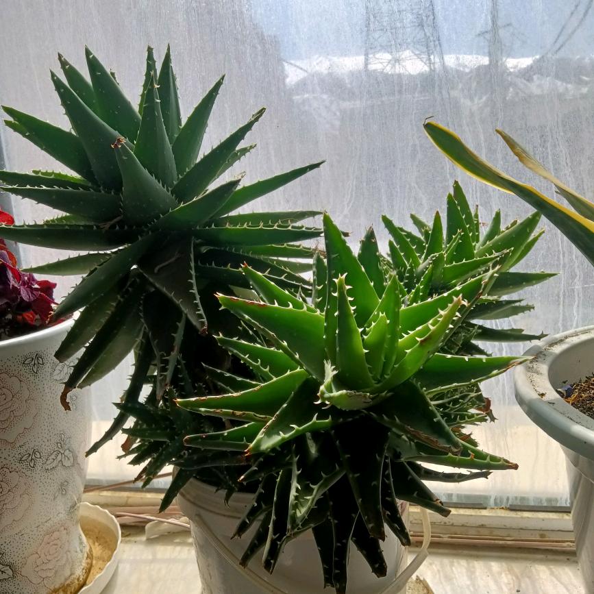 我的内心无人懂。