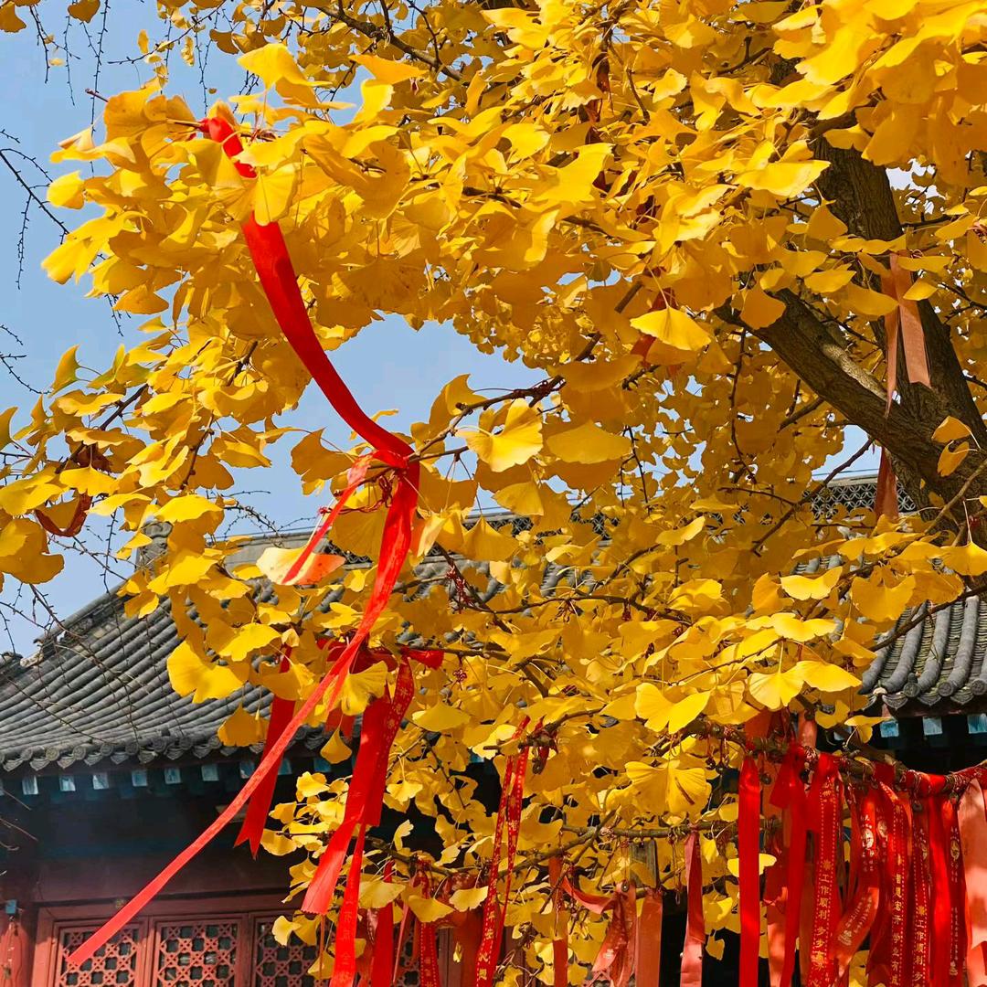 宝贝是天