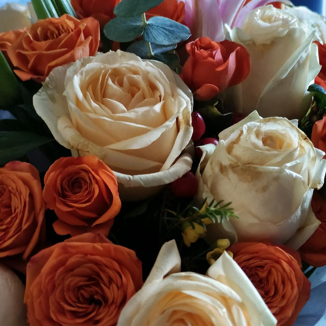 华姐姐（好物在橱窗）