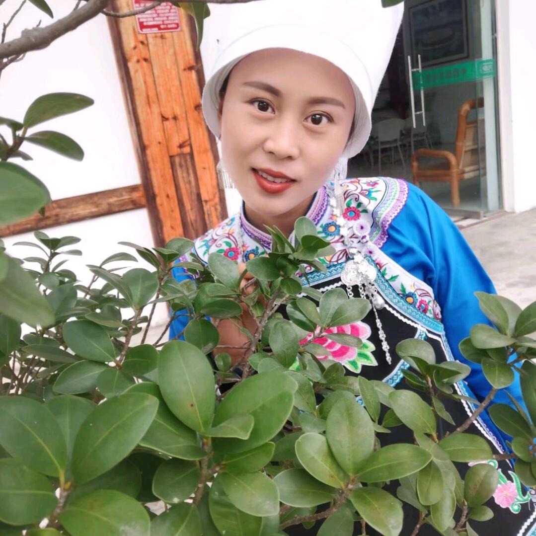 易梅