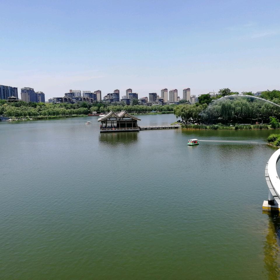 龙凤呈祥