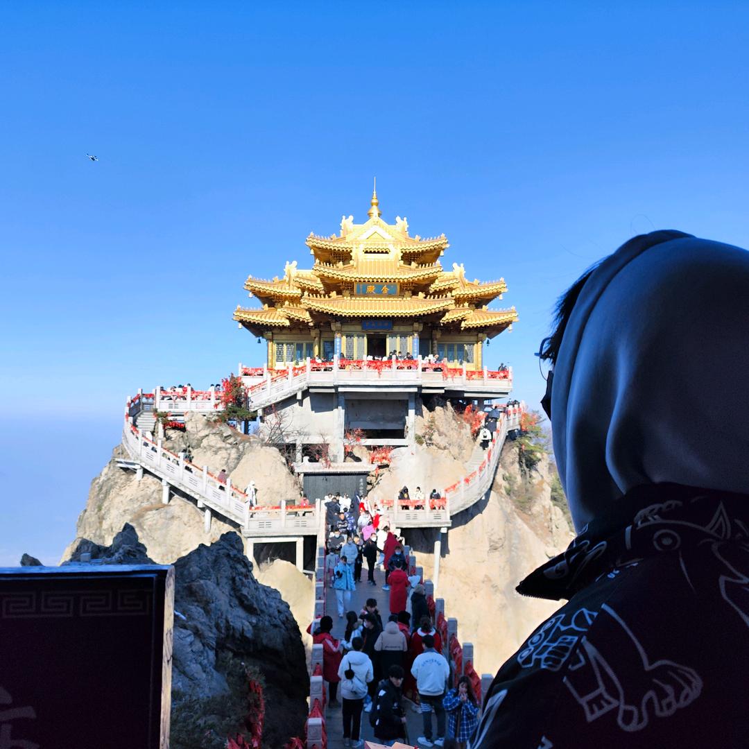 丨丨丨