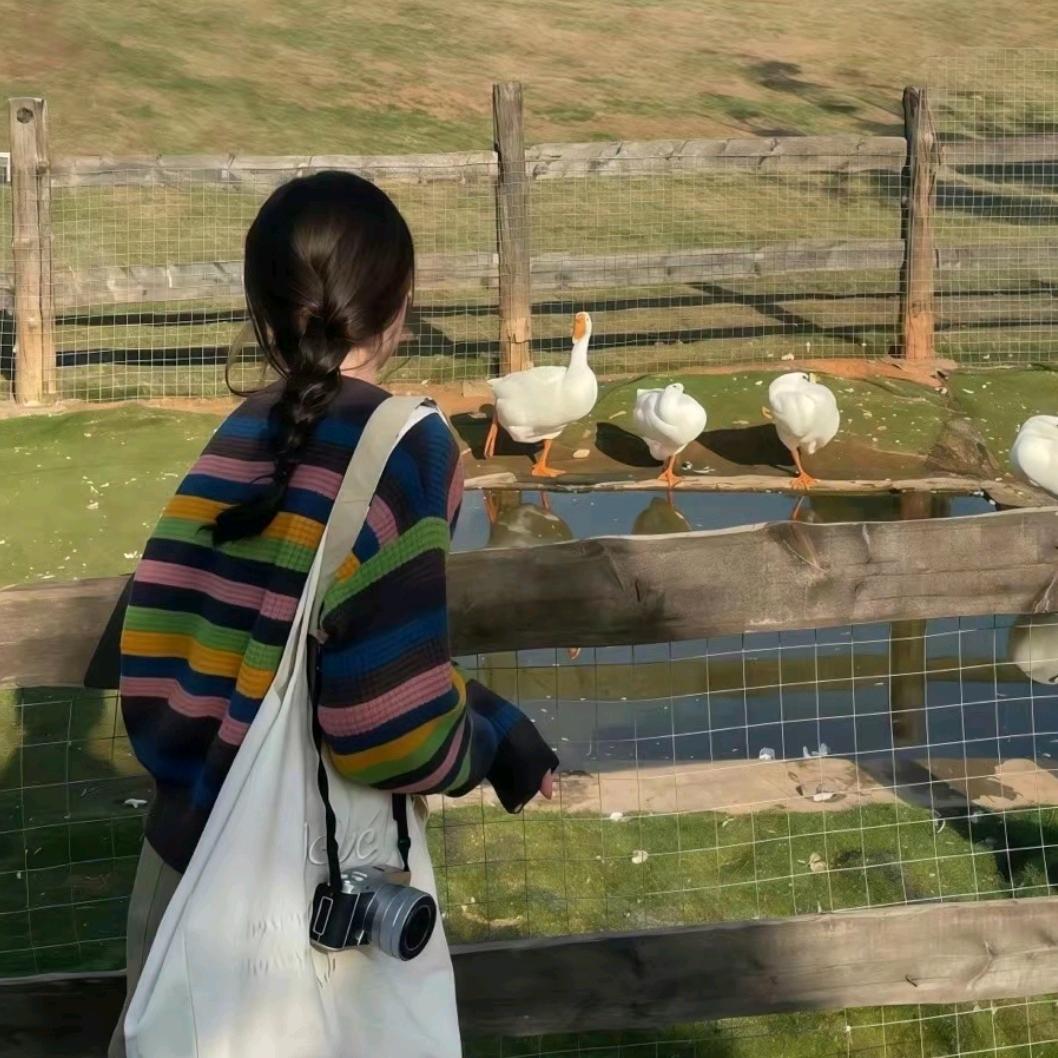 ঞ余生ᨏ随心ഒ࿐