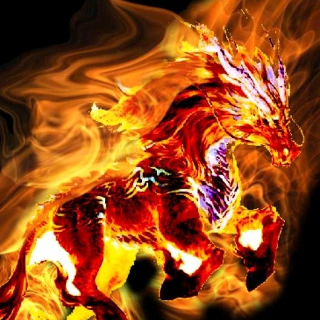 🔥🔥某一天🔥🔥