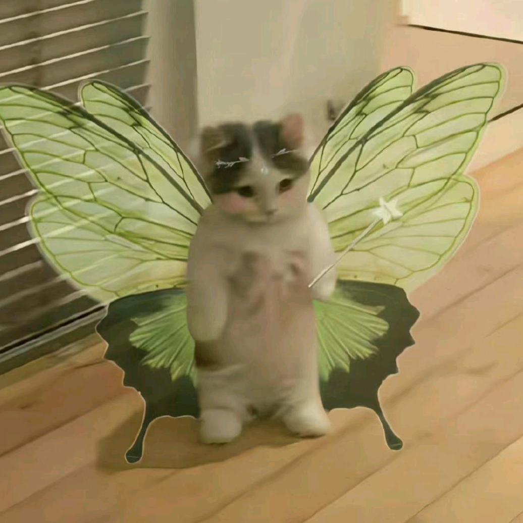 🌈拉过勾的🌈