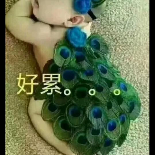 背叛