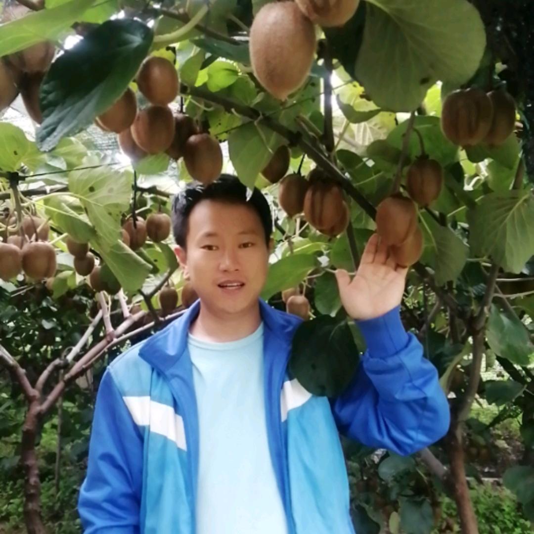 小姚家猕猴桃🥝