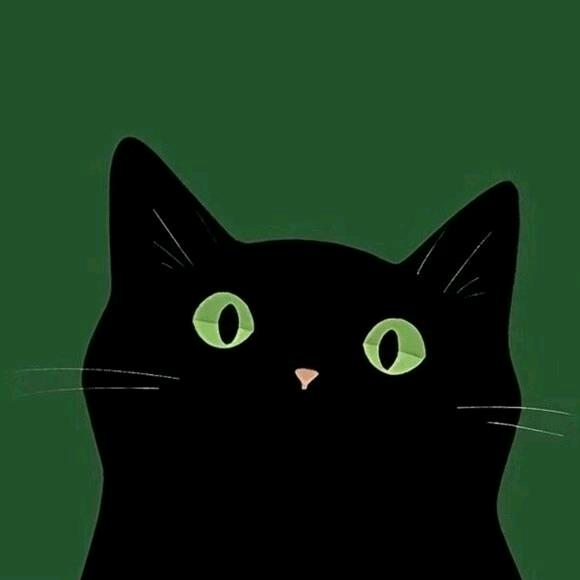 安静的猫